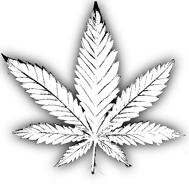 Fertilizer Highlights Leaf schematic